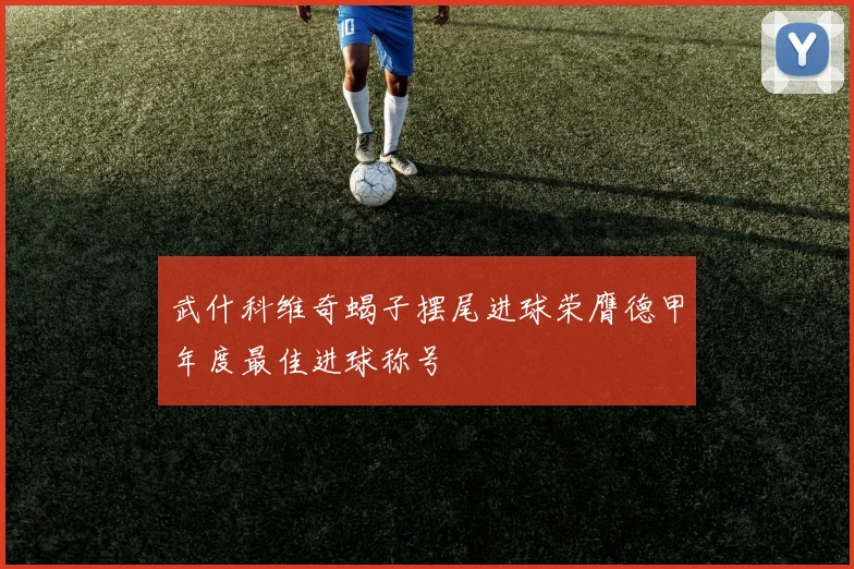 武什科维奇蝎子摆尾进球荣膺德甲年度最佳进球称号